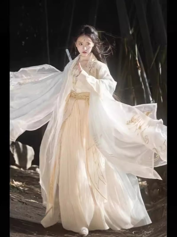 Ženski Hanfu u stilu Song s bogatim izvezom, starinski kostim s velikim rukavima, poliester, jesen 2024