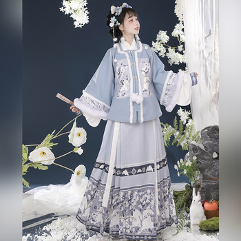 Ženski Hanfu u Ming stilu, top s kratkim rukavima i suknja s prepoznatljivim krojem, podstavljena za jesen-zimu, otisak znakova, za Novu godinu.