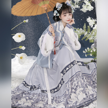 Ženski Hanfu u Ming stilu, top s kratkim rukavima i suknja s prepoznatljivim krojem, podstavljena za jesen-zimu, otisak znakova, za Novu godinu.