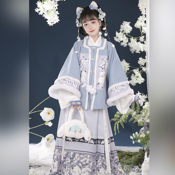 Ženski Hanfu u Ming stilu, top s kratkim rukavima i suknja s prepoznatljivim krojem, podstavljena za jesen-zimu, otisak znakova, za Novu godinu.