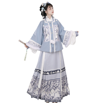 Ženski Hanfu u Ming stilu, top s kratkim rukavima i suknja s prepoznatljivim krojem, podstavljena za jesen-zimu, otisak znakova, za Novu godinu.