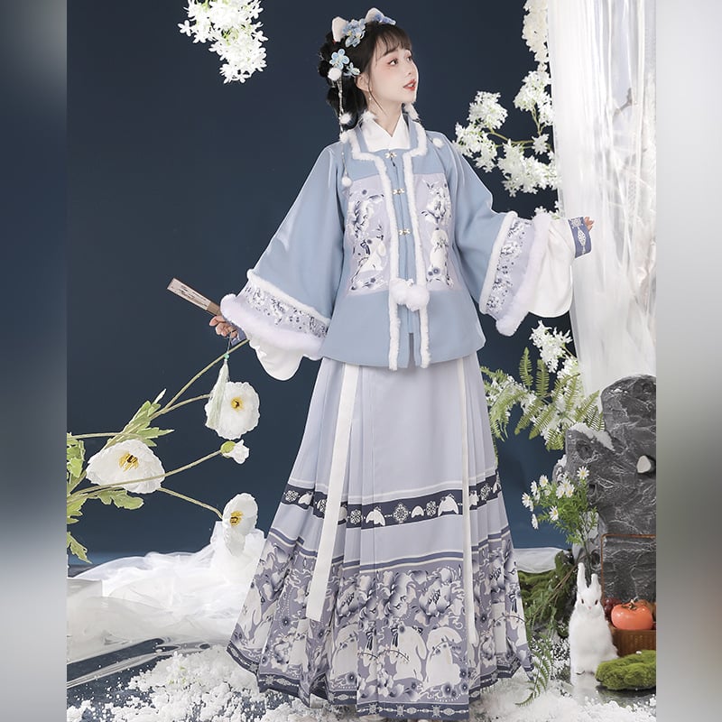 Ženski Hanfu u Ming stilu, top s kratkim rukavima i suknja s prepoznatljivim krojem, podstavljena za jesen-zimu, otisak znakova, za Novu godinu.