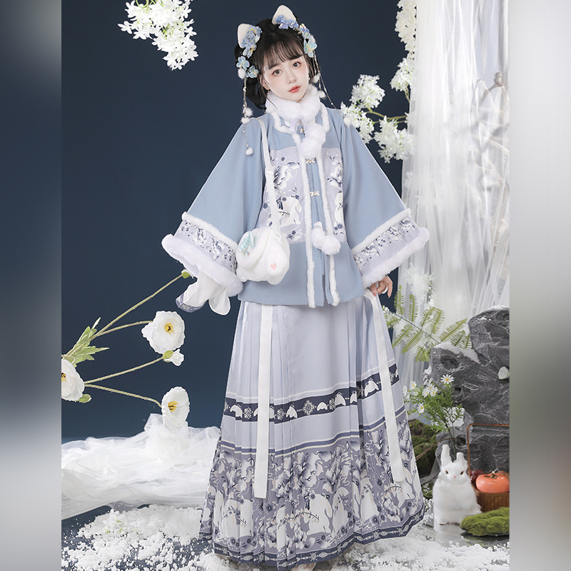 Ženski Hanfu u Ming stilu, top s kratkim rukavima i suknja s prepoznatljivim krojem, podstavljena za jesen-zimu, otisak znakova, za Novu godinu.
