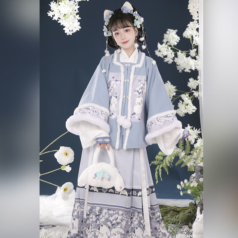 Ženski Hanfu u Ming stilu, top s kratkim rukavima i suknja s prepoznatljivim krojem, podstavljena za jesen-zimu, otisak znakova, za Novu godinu.