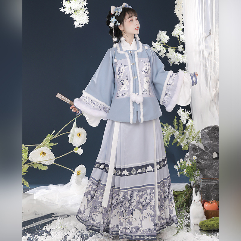 Ženski Hanfu u Ming stilu, top s kratkim rukavima i suknja s prepoznatljivim krojem, podstavljena za jesen-zimu, otisak znakova, za Novu godinu.