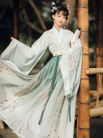 Ženski Hanfu dvodijelni set s preklopnim ovratnikom, top do struka i širokim rukavima, Wei Jin stil, svakodnevna odjeća za proljeće i jesen.