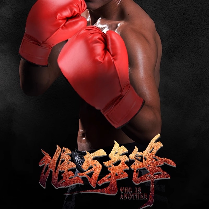 HK PU boksačke rukavice za Muay Thai trening za odrasle