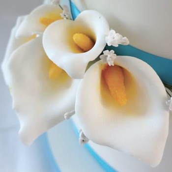 Calla Lily неръждаема стомана — резачка и форми за захарни цветя, британски стил, форми за фондан и торти, DIY инструмент за печене