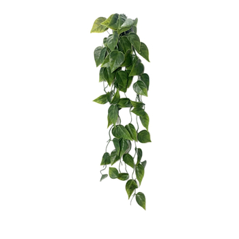 Изкуствени pothos, листа Turtle-Back Monstera и евкалиптови клонки в букет за домашна декорация