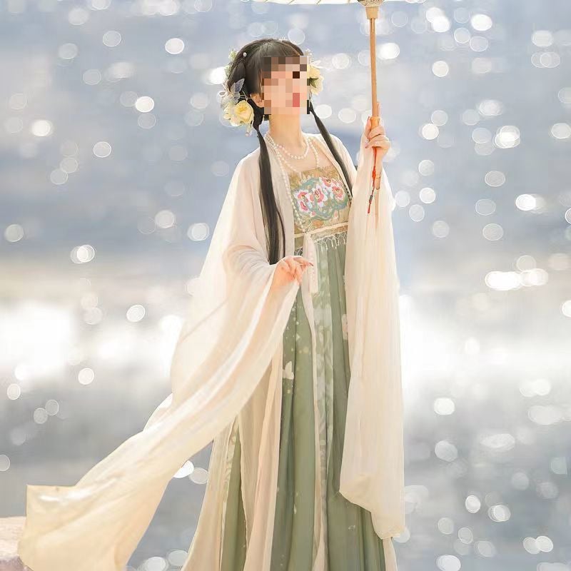 Tang dinastije Hezi suknja Hanfu ženski komplet – bluza s širokim rukavima, otisak, svakodnevni set, proljeće-ljeto