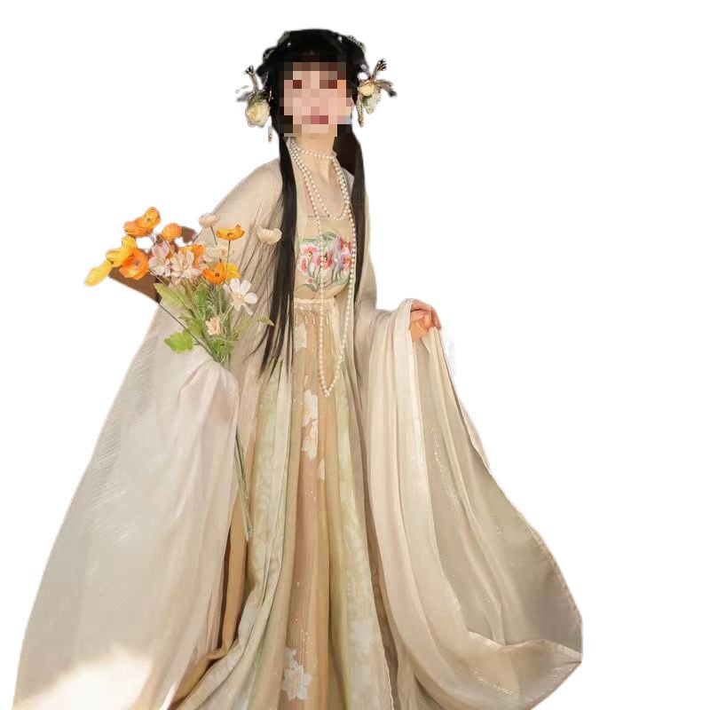 Tang dinastije Hezi suknja Hanfu ženski komplet – bluza s širokim rukavima, otisak, svakodnevni set, proljeće-ljeto