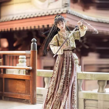 Hanfu u Tang stilu s egzotičnim dunhuanskim prizvukom, suknja s konjskom licem – ženski set za četiri sezone, jesen-zima