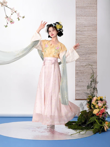 Shaohua Tang Hanfu set s izvezenim gornjim dijelom i suknjom od osam panela, svakodnevni komplet za proljeće i ljeto