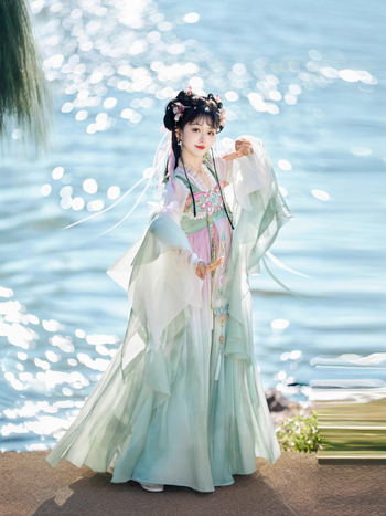 Ženski Hanfu u Tang stilu, dvo-dijelni set s izvezom Butterfly Feather, svakodnevna odjeća za proljeće i ljeto