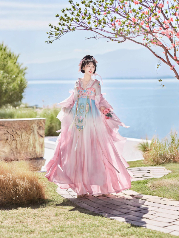Ženski Hanfu u Tang stilu, dvo-dijelni set s izvezom Butterfly Feather, svakodnevna odjeća za proljeće i ljeto