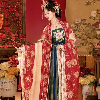 Hanfu Tang dinastije za žene, eterična suknja s širokim rukavima i top, kineskog stila svakodnevna odjeća za proljeće i ljeto