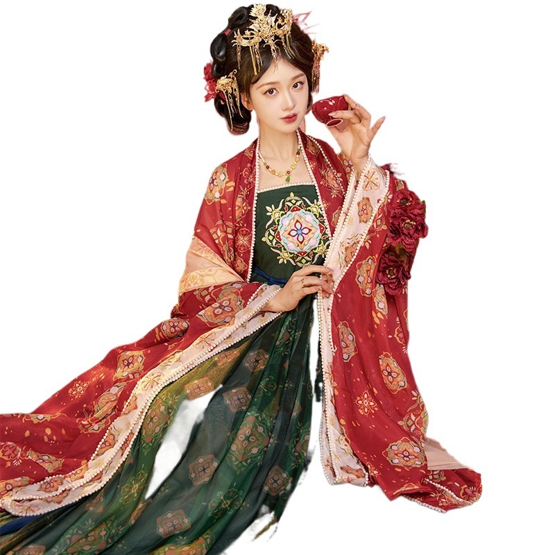 Hanfu Tang dinastije za žene, eterična suknja s širokim rukavima i top, kineskog stila svakodnevna odjeća za proljeće i ljeto