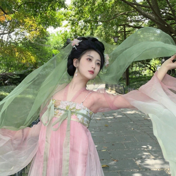 Ženski Hanfu u Tang stilu, haljina do prsa s širokim rukavima, jedinstveni drevni stil za proljetno svakodnevno nošenje