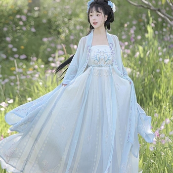 Hanfu set za žene s ljubičastom glicinijom i vyšivanjem, svakodnevni Tang stil, Hezi suknja i široki rukavi, drevni kostim