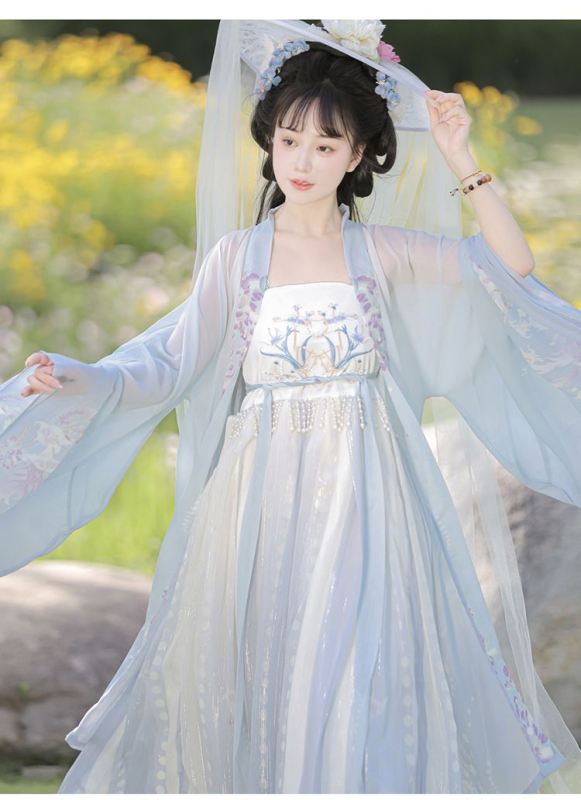 Hanfu set za žene s ljubičastom glicinijom i vyšivanjem, svakodnevni Tang stil, Hezi suknja i široki rukavi, drevni kostim