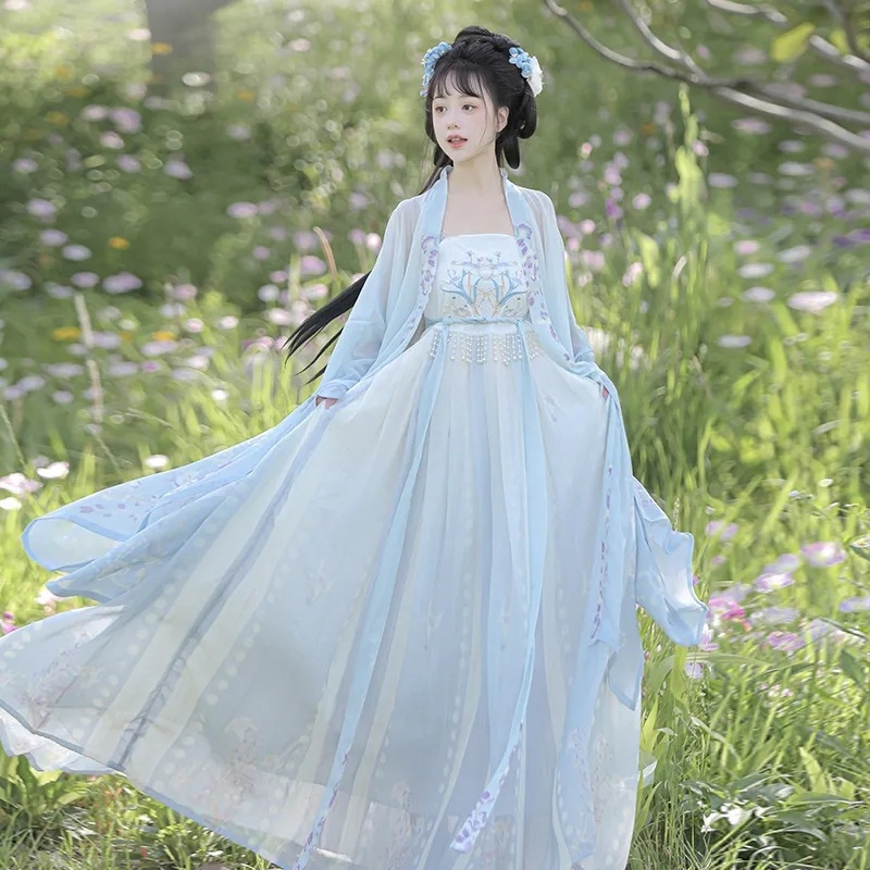 Hanfu set za žene s ljubičastom glicinijom i vyšivanjem, svakodnevni Tang stil, Hezi suknja i široki rukavi, drevni kostim