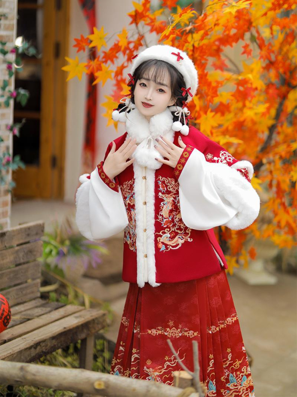Ženski Hanfu u stilu Ming dinastije, zimska Mamian suknja s flis podstavom i debelim materijalom, geometrijskim vezom, tradicionalni kostim