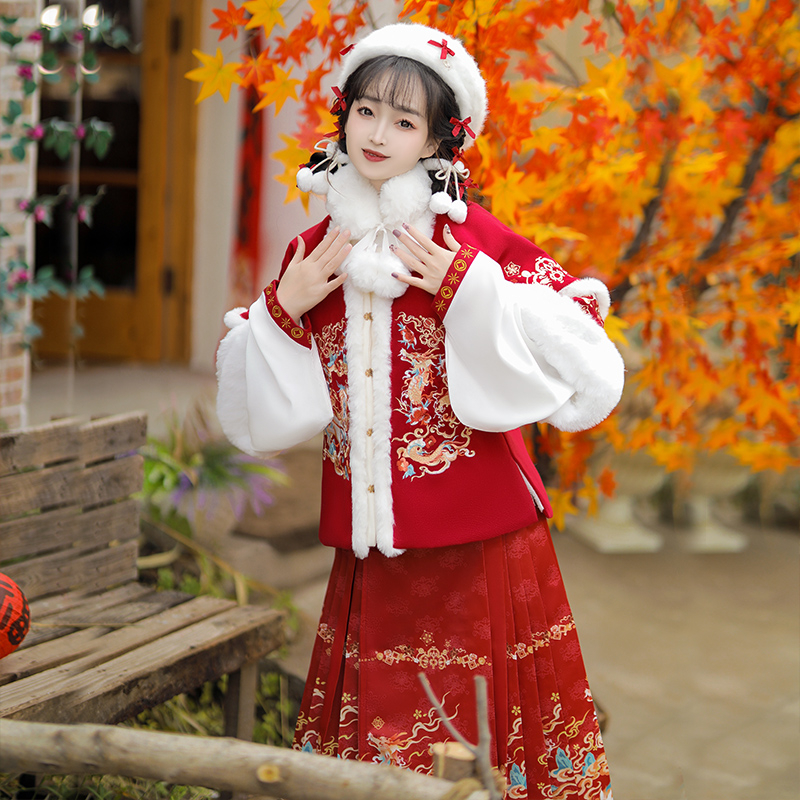 Ženski Hanfu u stilu Ming dinastije, zimska Mamian suknja s flis podstavom i debelim materijalom, geometrijskim vezom, tradicionalni kostim