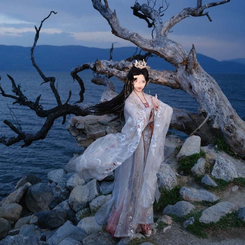 Hanfu inspiriran dinastijom Song, bogata izvezena tkanina, moderni Han elementi, komplet za par, elegantan izgled