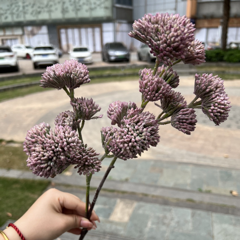 Нов модел зелени изкуствени плодчета – букет за сватба и домашна декорация с акценти от жълти и бели плодове