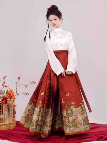 Hanfu komplet s cvjetnim uzorkom suknje, stil Butterfly-Love Flower, za svakodnevno nošenje.