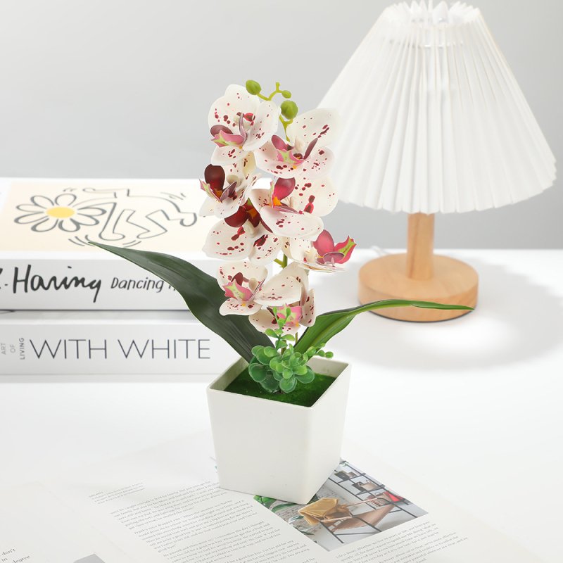 Τεχνητό Μπονσάι Phalaenopsis — διακοσμητικό για το σπίτι με μεταξωτά άνθη