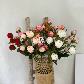 Bubble Roses – umjetne ruže od svile s spaljenim rubovima, vintage stil za dekoraciju dvorane za vjenčanje i kućnu dekoraciju
