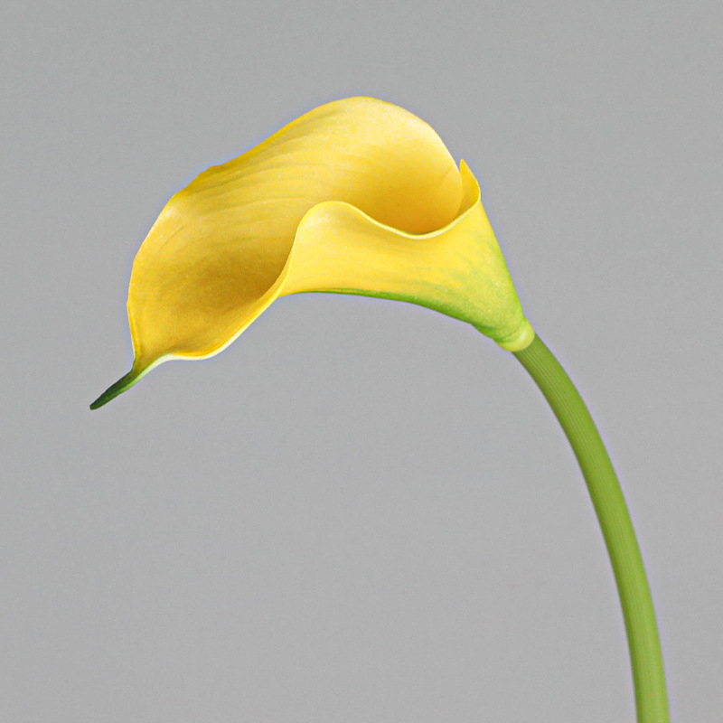 Mini dekorativni Calla Lily cvijet od mekanog EVA materijala za kućnu dekoraciju
