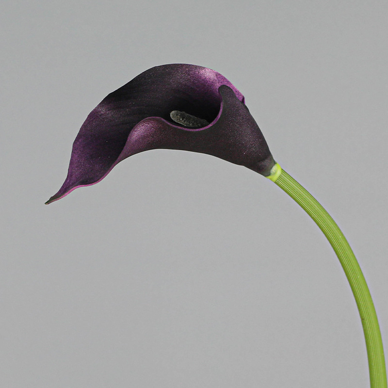 Mini dekorativni Calla Lily cvijet od mekanog EVA materijala za kućnu dekoraciju