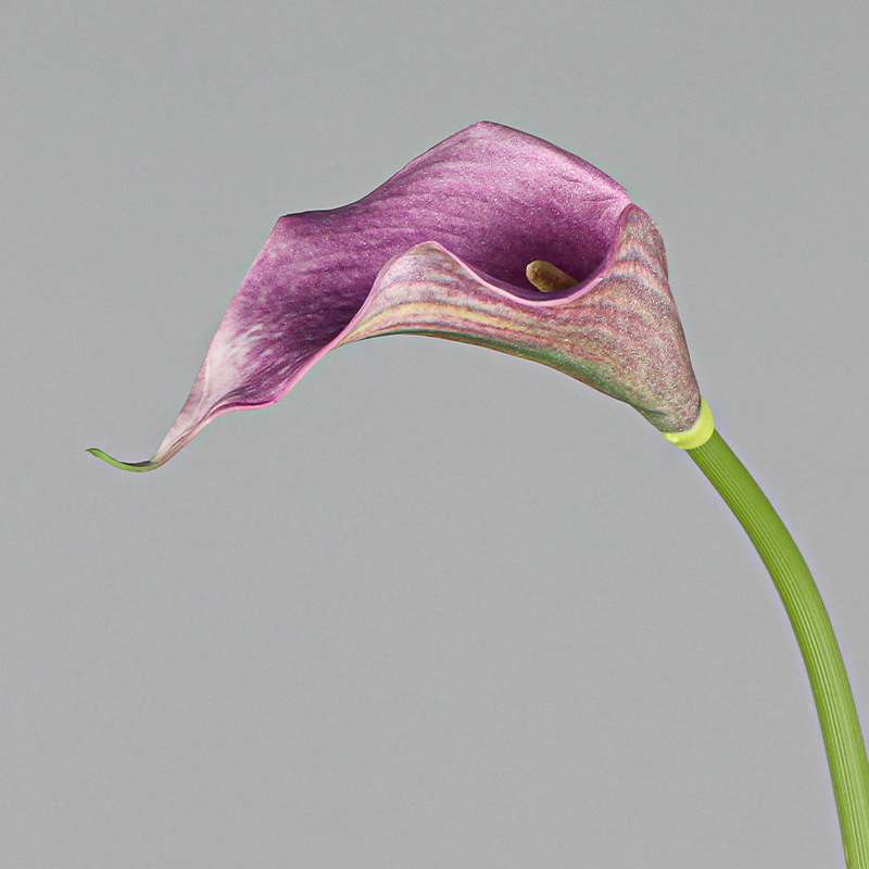 Mini dekorativni Calla Lily cvijet od mekanog EVA materijala za kućnu dekoraciju