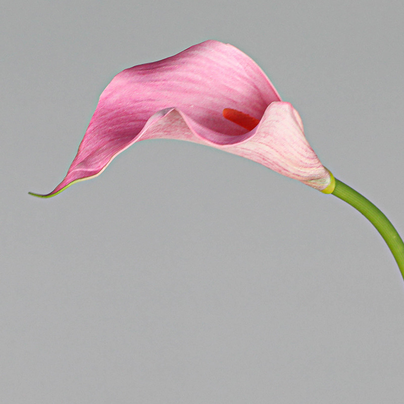 Mini dekorativni Calla Lily cvijet od mekanog EVA materijala za kućnu dekoraciju