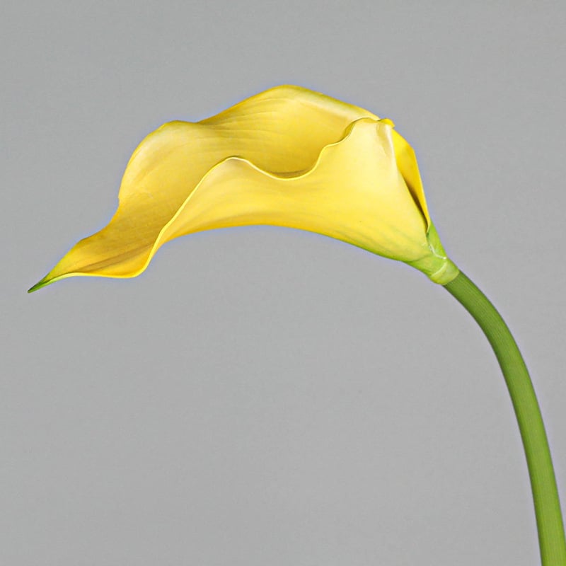 Mini dekorativni Calla Lily cvijet od mekanog EVA materijala za kućnu dekoraciju