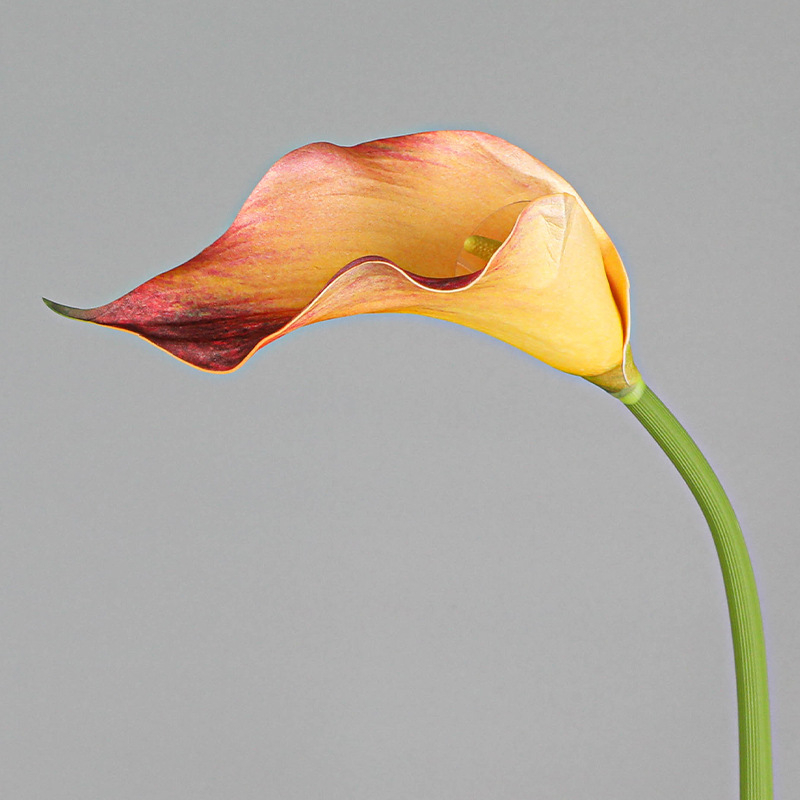 Mini dekorativni Calla Lily cvijet od mekanog EVA materijala za kućnu dekoraciju