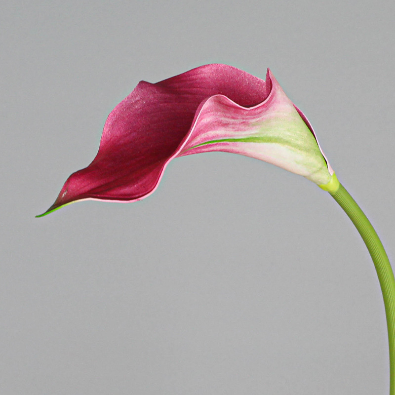 Mini dekorativni Calla Lily cvijet od mekanog EVA materijala za kućnu dekoraciju
