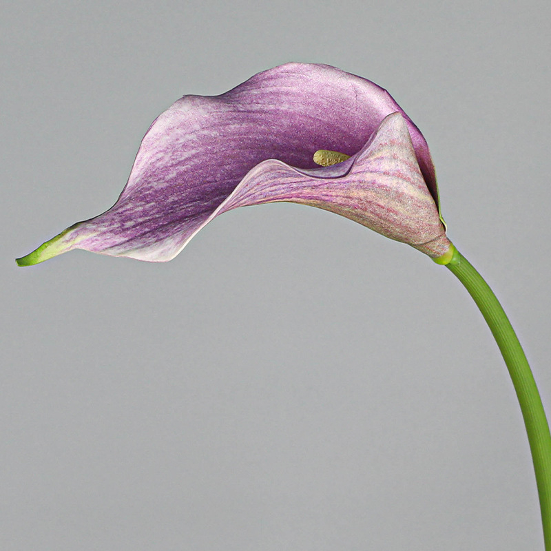 Mini dekorativni Calla Lily cvijet od mekanog EVA materijala za kućnu dekoraciju