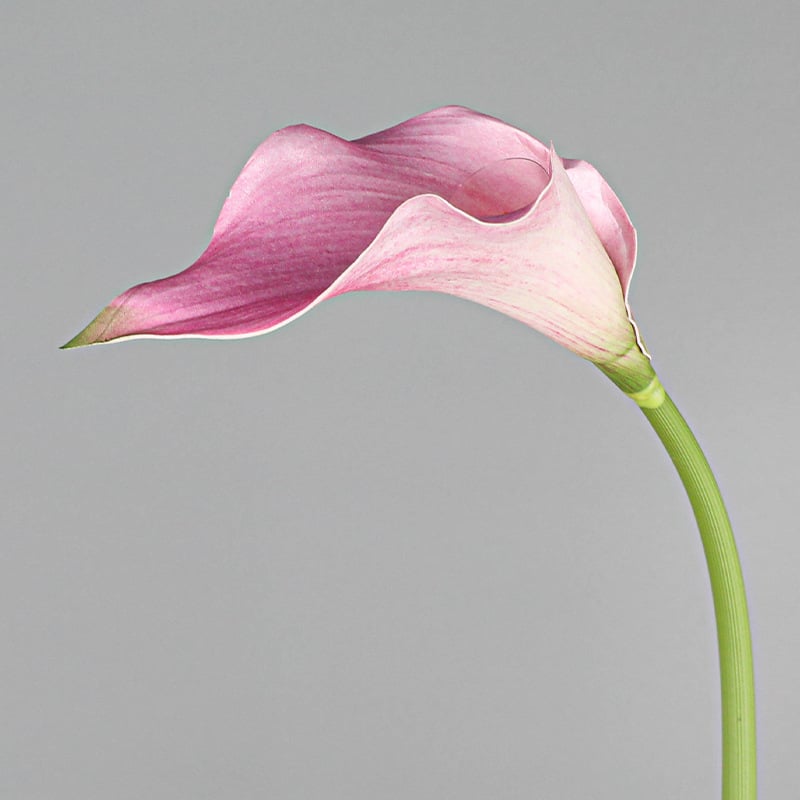 Mini dekorativni Calla Lily cvijet od mekanog EVA materijala za kućnu dekoraciju