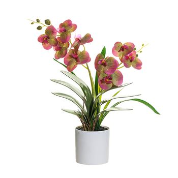 Phalaenopsis bonsai s umjetnim svilenim cvjetovima za unutarnju dekoraciju