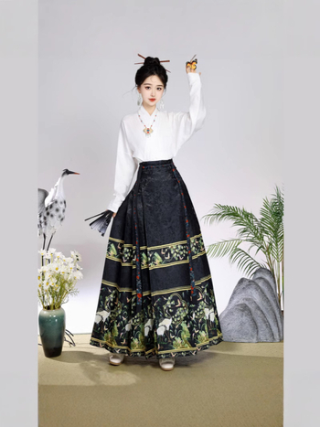 Ženski hanfu set u Ming stilu, suknja s dizajnom konjskog lica, svakodnevno nošenje, moderan kineski nadahnuće