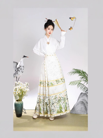 Ženski hanfu set u Ming stilu, suknja s dizajnom konjskog lica, svakodnevno nošenje, moderan kineski nadahnuće
