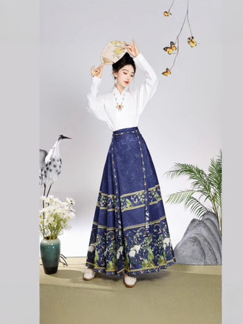 Ženski hanfu set u Ming stilu, suknja s dizajnom konjskog lica, svakodnevno nošenje, moderan kineski nadahnuće