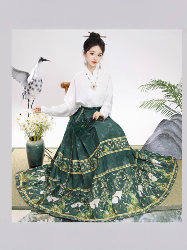 Ženski hanfu set u Ming stilu, suknja s dizajnom konjskog lica, svakodnevno nošenje, moderan kineski nadahnuće