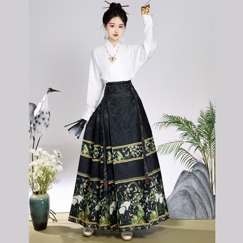 Ženski hanfu set u Ming stilu, suknja s dizajnom konjskog lica, svakodnevno nošenje, moderan kineski nadahnuće
