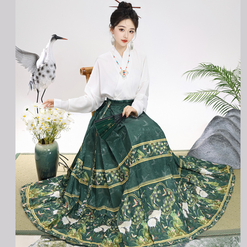 Ženski hanfu set u Ming stilu, suknja s dizajnom konjskog lica, svakodnevno nošenje, moderan kineski nadahnuće