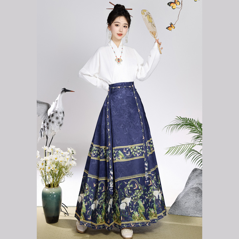 Ženski hanfu set u Ming stilu, suknja s dizajnom konjskog lica, svakodnevno nošenje, moderan kineski nadahnuće