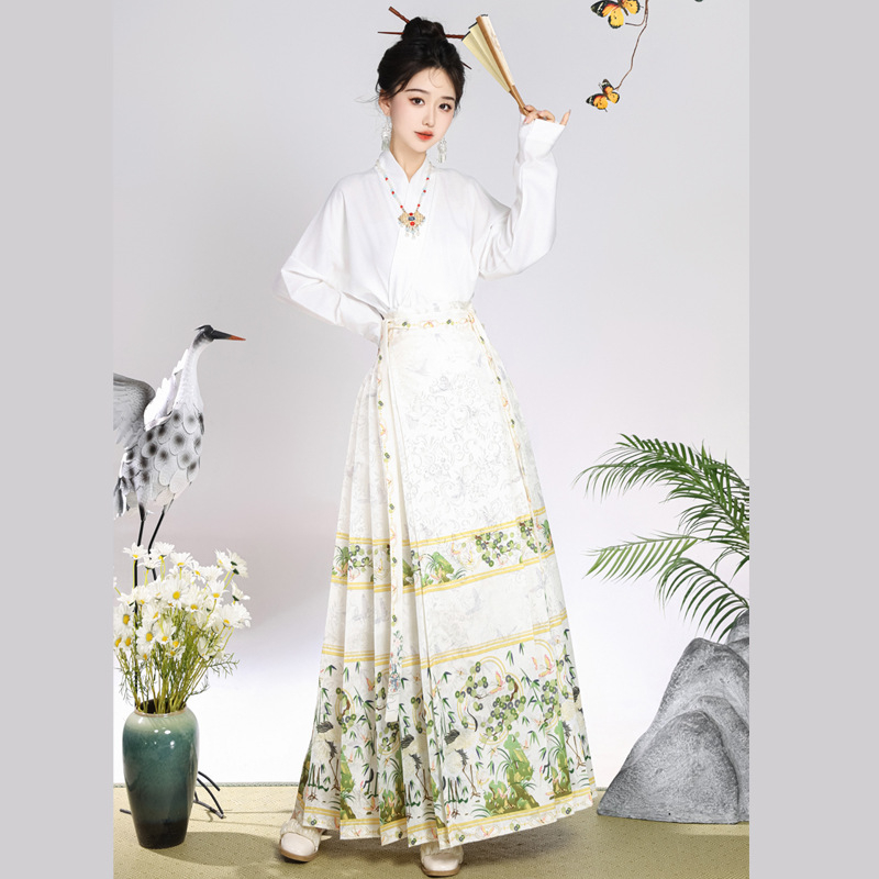 Ženski hanfu set u Ming stilu, suknja s dizajnom konjskog lica, svakodnevno nošenje, moderan kineski nadahnuće